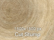 Cut Stump