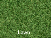 Lawn002