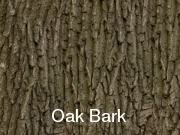 Oak Bark